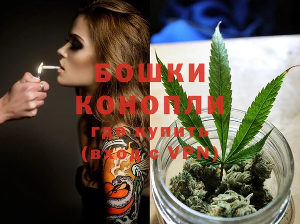 ешки Щучье