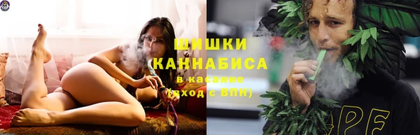 ECSTASY Заводоуковск